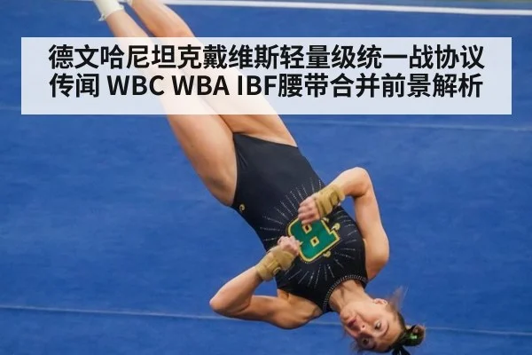 德文哈尼坦克戴维斯轻量级统一战协议传闻 WBC WBA IBF腰带合并前景解析