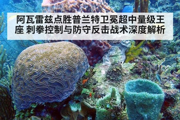 阿瓦雷兹点胜普兰特卫冕超中量级王座 刺拳控制与防守反击战术深度解析